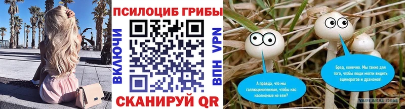 Галлюциногенные грибы Psilocybine cubensis  Родники 