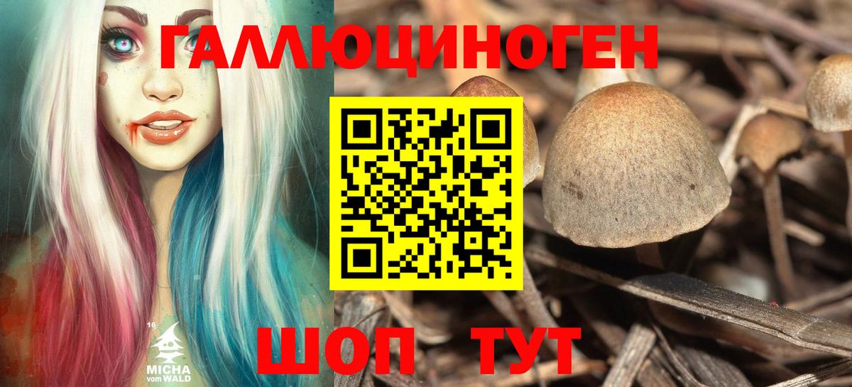 Галлюциногенные грибы GOLDEN TEACHER Родники