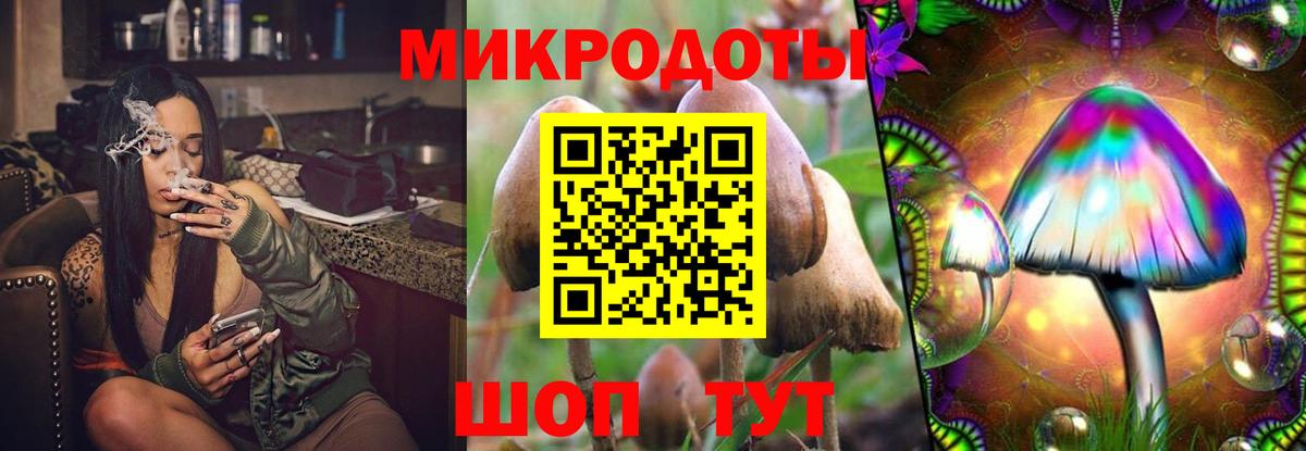 Псилоцибиновые грибы Psilocybine cubensis  Галлюциногенные грибы Psilocybine cubensis  Родники 