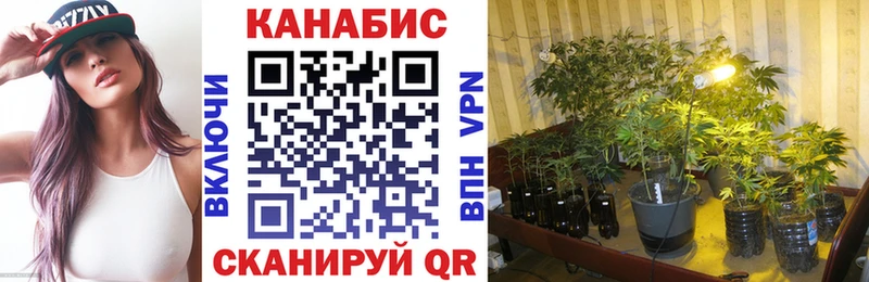 Бошки Шишки тримм  Родники 