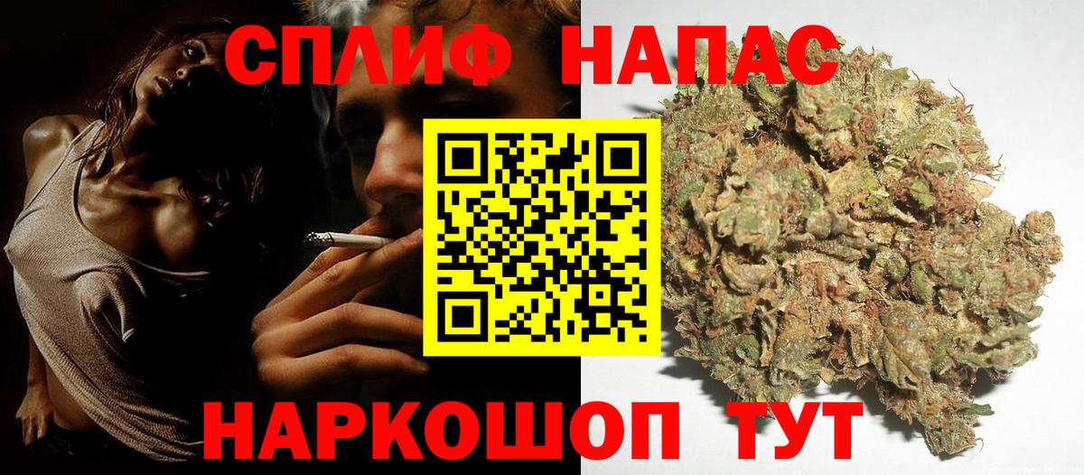 МАРИХУАНА конопля Родники